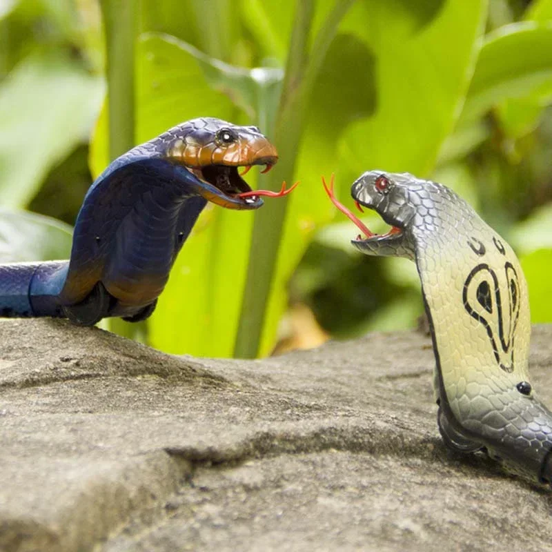 RC Snake Realistic Snake Toys  - Ir Infrared Receiver avaliação e preço